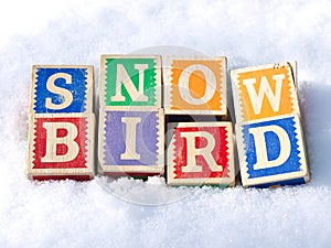 Snow Bird