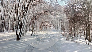 Snehová prikrývka cez kopce na vidieku v zime