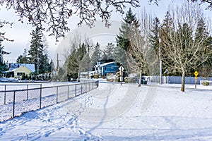 Snow Blanket By Street