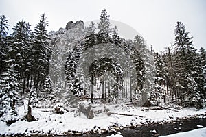 A view from the snowy path winding through the Ko?cieliska Valley, Poland.