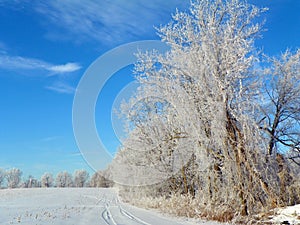 Snow blankets a farm crop field and ice covers trees