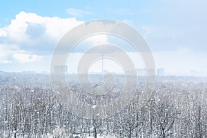 Snow blizzard over city and forest in spring