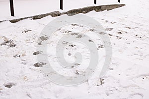 Snow and boot marks on the steps