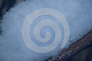 Snow on a branch close-up in winter at night