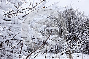 Snow in wnter in Teruel province photo