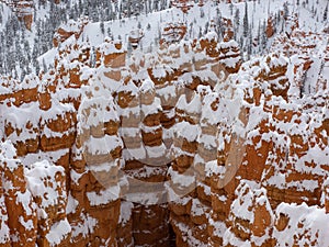 Snow in Brice Canyon photo