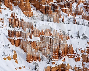 Snow in Brice Canyon photo
