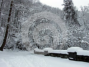 SNOW BRIDGE