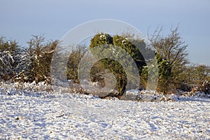 Snow on Burrington Ham