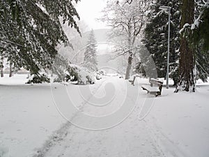 Snow calamity in park