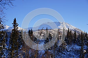Snow caped Alaskan mountains