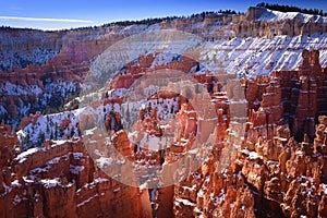 Snow caped hoodoos in Bryce canyon photo