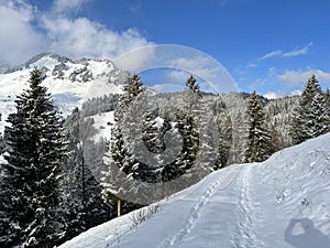 Snow-capped alpine peak Raaberg 1723 m, easternmost summit of the Mattstock massiv and above the Lake Walen or Lake Walenstadt