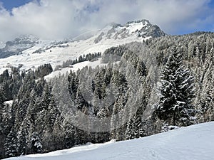 Snow-capped alpine peak Raaberg 1723 m, easternmost summit of the Mattstock massiv and above the Lake Walen or Lake Walenstadt