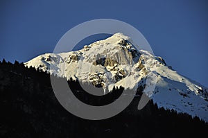 Snow capped Alps photo