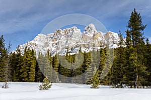 Snow Capped Castle Mountain and Blue Sky