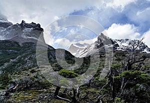 Snow-capped granite peaks above bare tree branches in Torres del Paine National Park, Patagonia Chile