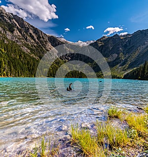 Snow Capped Heavens Peak Above The Clear Water of Avalanche Lake