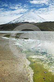 Snow capped high mountains reflected in Lake Chungara