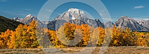 Snow Capped Mount Moran