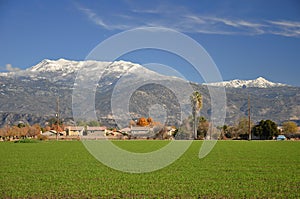 Snow-capped Mount San Jacinto photo
