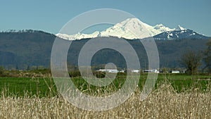 Snow Capped Mountain Mt. Baker