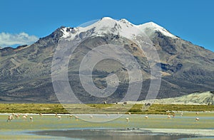 Snow capped mountain in salar de Surire national park