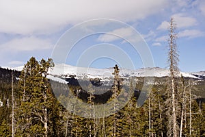 Snow capped mountains