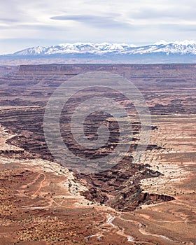 Snow Capped mountains in the distance behind Buck canyon - Canyonlands National Park.