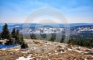 Der schnee begrenzt berge Wald aus Nadelbäume. verschwommen berge auf der 