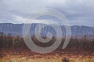 Snow capped mountains and taiga