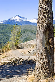 Snow-Capped Mountains in Vancouver British Columbia