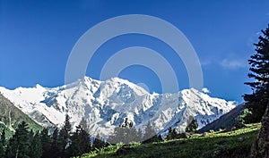 Snow capped Nanga Parbat peak