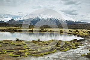 Snow capped Parinacota volcano