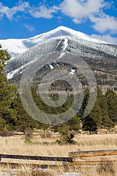 Snow capped Peaks