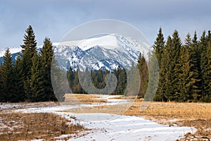 Snow-Capped Peaks Of The High Tatras. Poprad Valley, Slovakia. Slovakian Winter Mountain Landscape. Snow-covered Road Among Grass