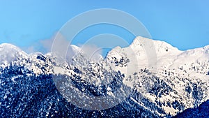 The Snow Capped Peaks the Tingle Peaks and other Mountain Peaks of the Coast Mountains in British Columbia, Canada photo