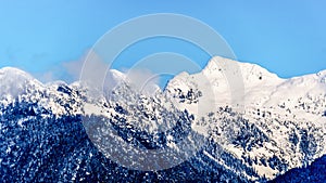 The Snow Capped Peaks the Tingle Peaks and other Mountain Peaks of the Coast Mountains in British Columbia, Canada