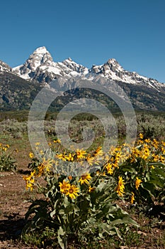 Snow capped Rocky Mountains in Grand Teton National Park Wyoming