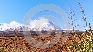 Snow capped volcano, Tongariro National Park, New Zealand