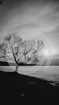 Snow captivity of the white lakeÃ¯Â¿Â¼