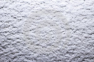 Snow carpet close up, macro