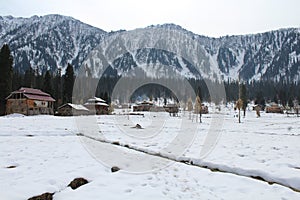 Snow carpet tree wooden house tree mountain covered with snow