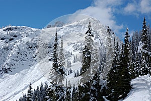 Snow in Cascade Mountains