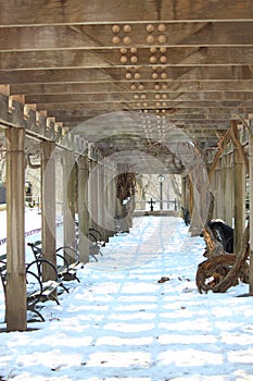 Snow in Central Park