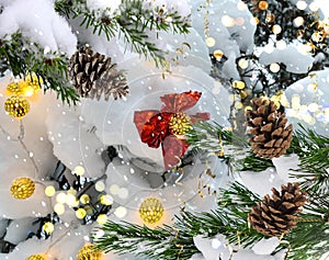 Snow Christmas tree branch and cones  with garland blurred  festive light and red folium bow in winter forest