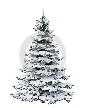 Snow Christmas tree isolated on white background