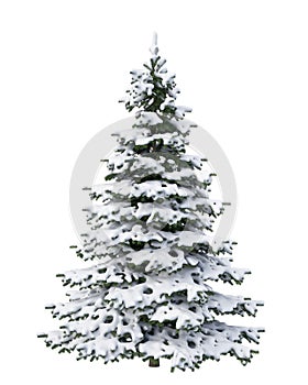 La nieve árbol de navidad aislado sobre fondo blanco 