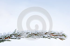 Snow and Christmas tree on white