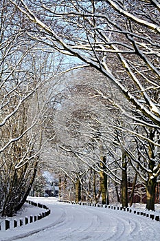 Snow in the city park. Groningen